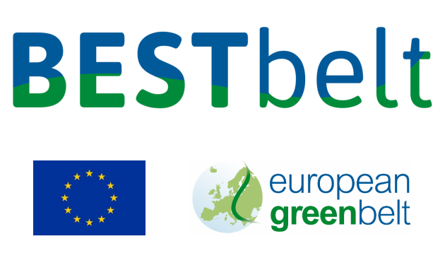 BestBelt logo